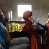 Les femmes de Diossong (Kaolack) produisent et commercialisent l'huile Seggal purifiée