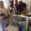 Les femmes de Touba (Diourbel) produisent et commercialisent l'huile Seggal purifiée et ses dérivés