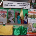 FIARA 2017