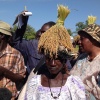 Visite du Projet de production du riz pluvial dans les plateaux et les vallées en Casamance