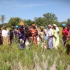 Visite du Projet de production du riz pluvial dans les plateaux et les vallées en Casamance