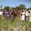 Visite du Projet de production du riz pluvial dans les plateaux et les vallées en Casamance