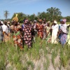 Visite du Projet de production du riz pluvial dans les plateaux et les vallées en Casamance