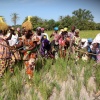 Visite du Projet de production du riz pluvial dans les plateaux et les vallées en Casamance