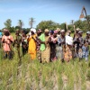 Visite du Projet de production du riz pluvial dans les plateaux et les vallées en Casamance