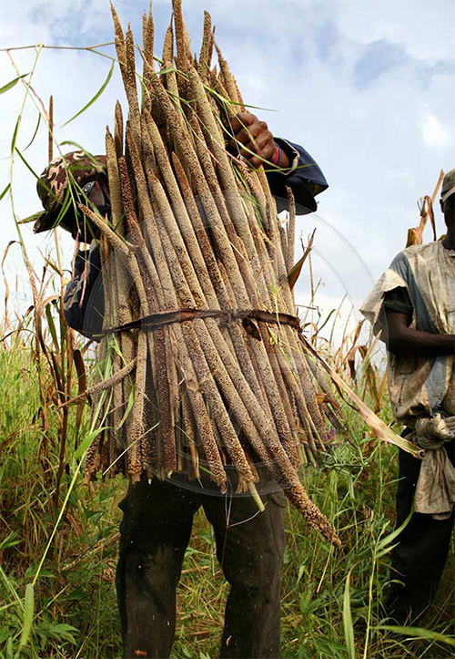 malnutrition-bamba-thialene