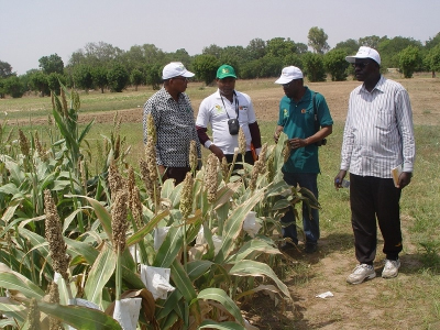 Lutte contre la pauvreté et le chômage : 50 millions de FCfa du Fnraa pour 9 groupements d’entrepreneuriat agricoles