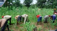 DIOURBEL : DES PROJETS DU PRODAC POUR 500 BÉNÉFICIAIRES DANS 3 VILLAGES