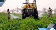 L’ISRA EXPÉRIMENTE UNE SERRE À SÉSSÈNE POUR LUTTER CONTRE LES CONTRAINTES EN MILIEU AGRICOLE