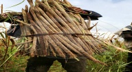 La malnutrition, un vieux souvenir à Bamba Thialène grâce à la transformation des céréales