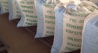 24 tonnes de semences certifiées en souffrance à Kelle Guèye