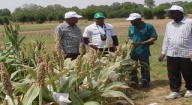 Lutte contre la pauvreté et le chômage : 50 millions de FCfa du Fnraa pour 9 groupements d’entrepreneuriat agricoles