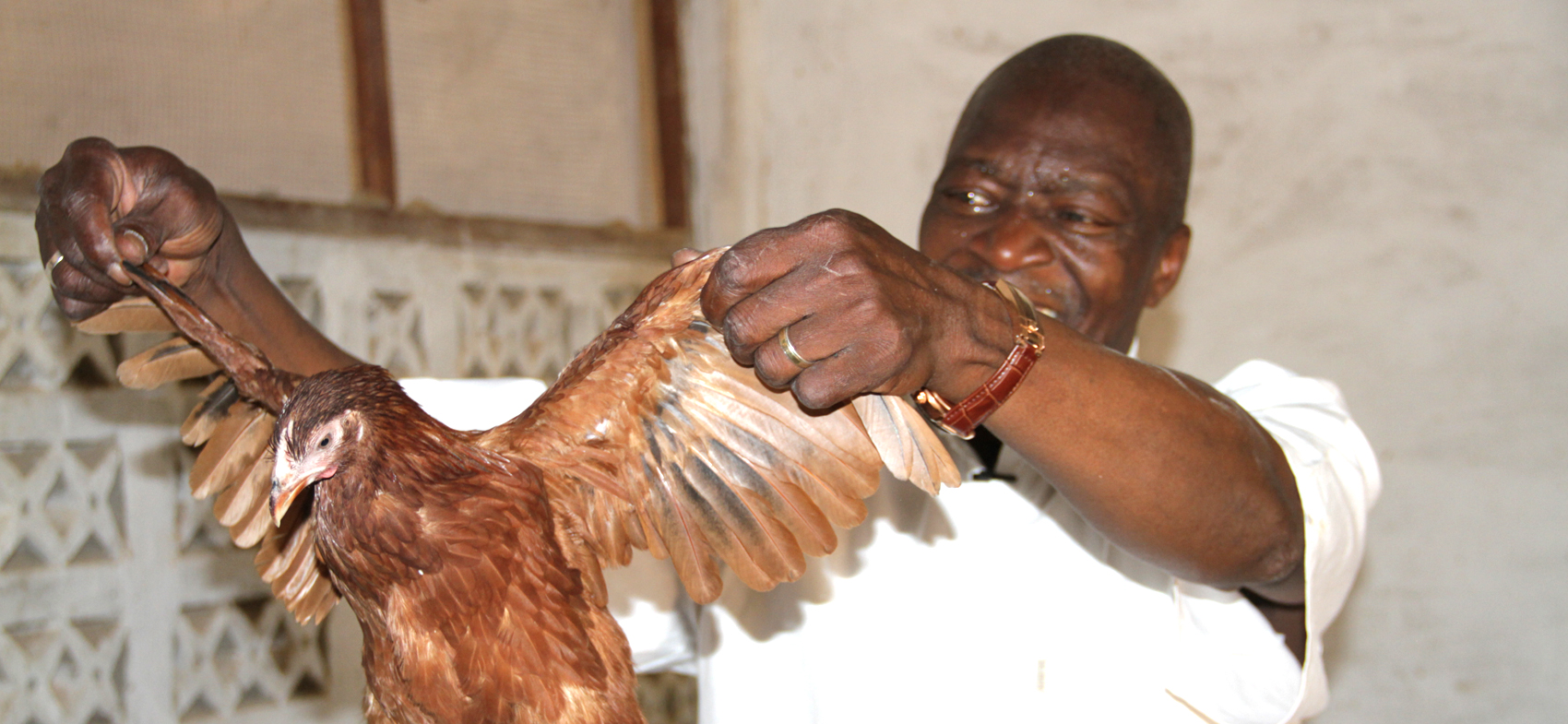 Retired commissioner of police Yaya Sangare in his poultry farm on the outskirts of Bamako. Photo credit/CORAF