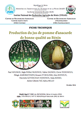 Production du jus de pomme d’anacarde de bonne qualité au Bénin