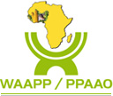 west africa Agricultural Productivity Program