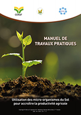 MANUEL DE PRATIQUE : Utilisation des micro-organismes du sol pour accroître la productivité agricole
