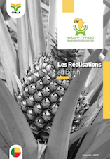 Les réalisations du PPAAO au Bénin