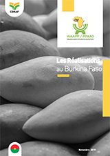 Les réalisations du PPAAO au Burkina Faso
