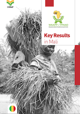 The achievements of WAAPP Mali