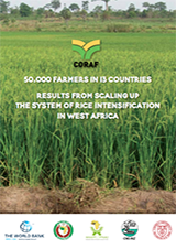 Results from Scaling up the System of Rice Intensification in West Africa