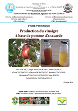 Production du vinaigre à base de pomme d’anacarde