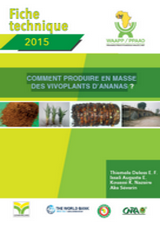 How to produce in mass in vivo plants of pineapple- FR