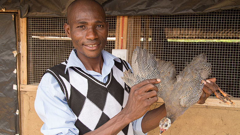 With help from the WAAPP, Gideon Anaba, center, has transformed his part-time pursuit of guinea fowl farming into a booming business. With help from the WAAPP, Gideon Anaba, center, has transformed his part-time pursuit of guinea fowl farming into a booming business.
